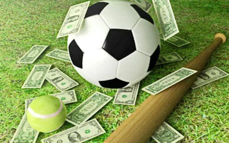 Layar olahraga dengan susunan kartu pertandingan dan navigasi kompetisi